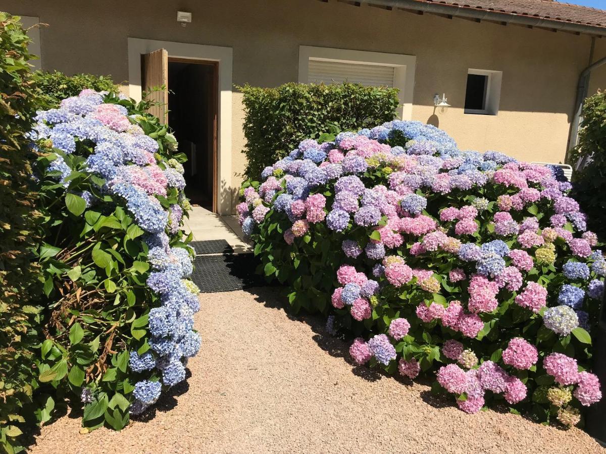 Auberge Les Hauts De Chénas מראה חיצוני תמונה