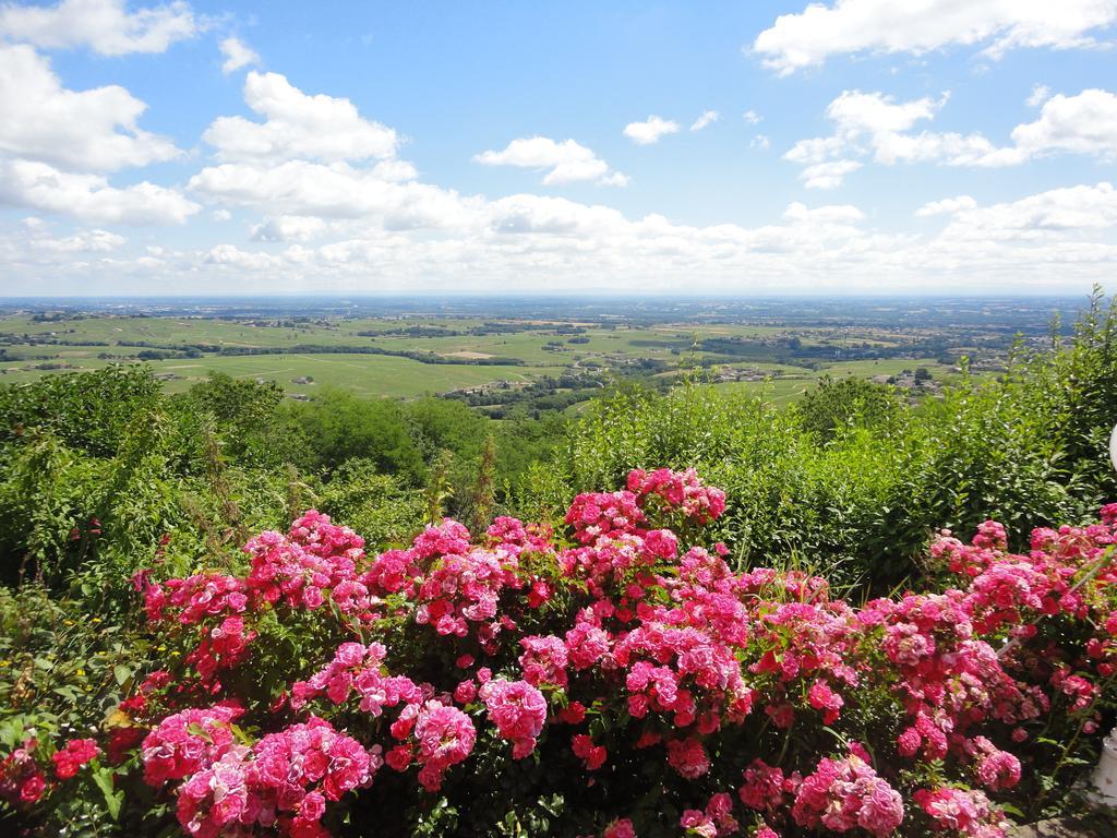 Auberge Les Hauts De Chénas מראה חיצוני תמונה