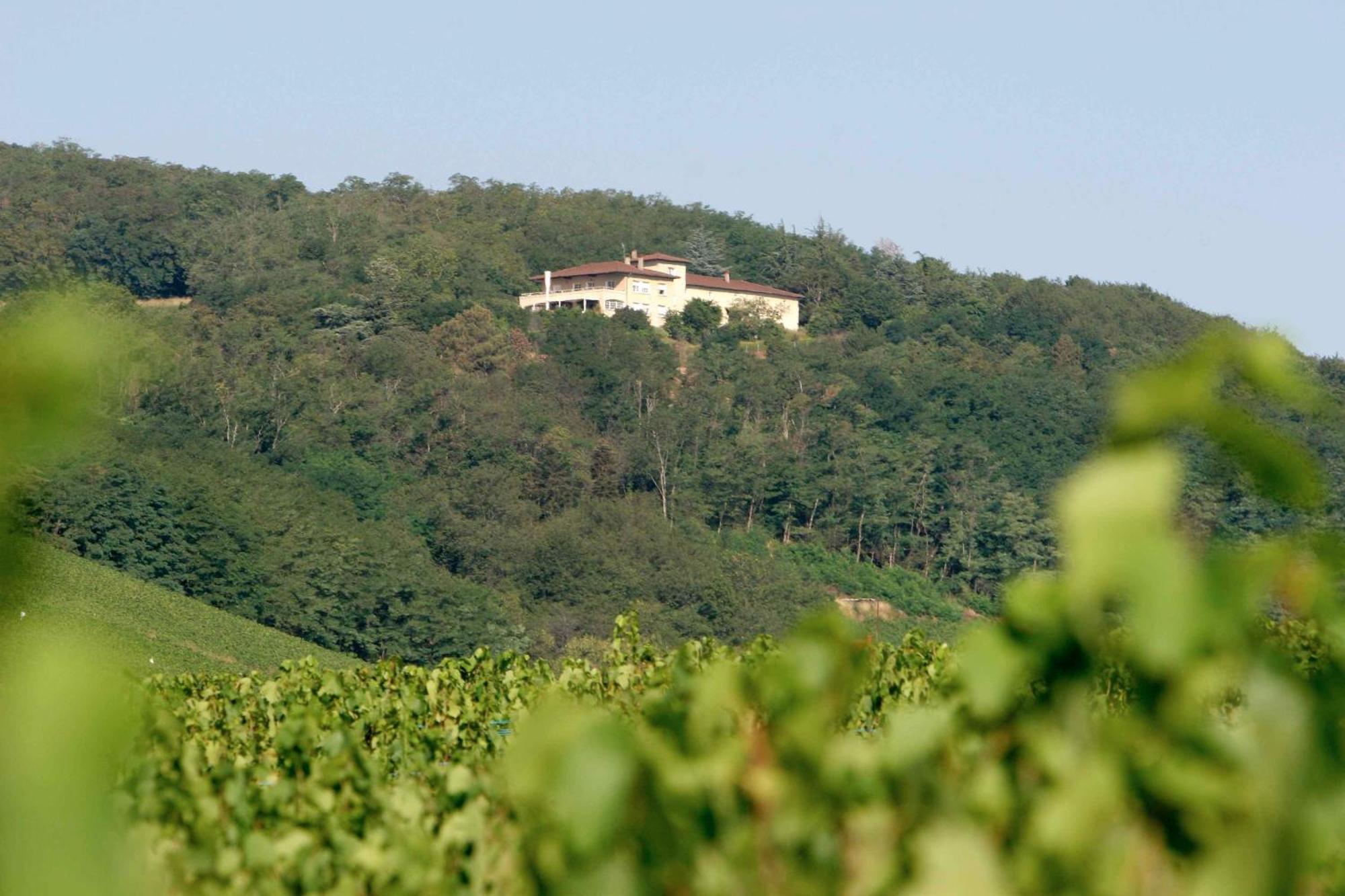 Auberge Les Hauts De Chénas מראה חיצוני תמונה